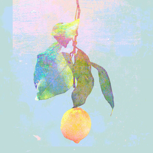 啊哈又加一指啊哈啊
