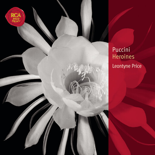 啊哈又加一指啊哈啊
